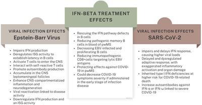 The value of Interferon β in multiple sclerosis and novel opportunities for its anti-viral activity: a narrative literature review